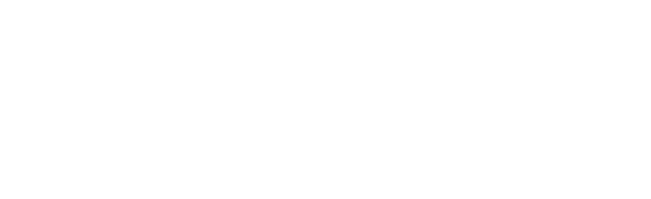 Diana Cassidy-Bush Team Real Estate Logo